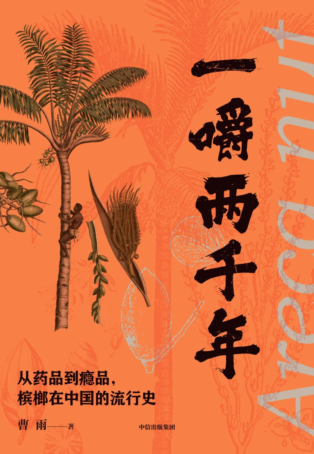 image-20231214162123-8